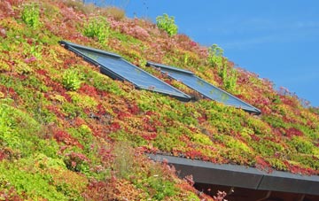 Ynyslas living roof systems