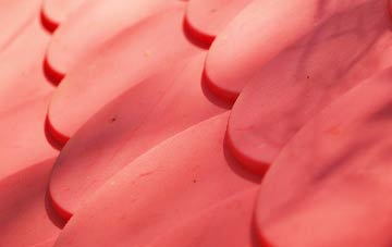 Ynyslas plastic roof costs