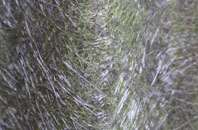 Ynyslas fibreglass roof work